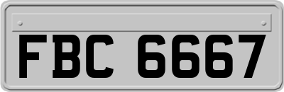 FBC6667