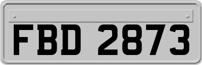 FBD2873