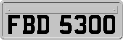 FBD5300