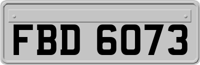 FBD6073