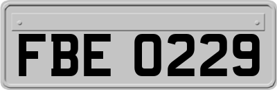 FBE0229