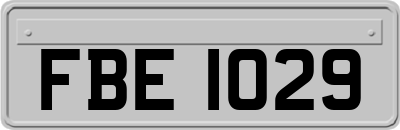 FBE1029