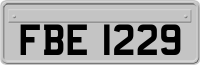 FBE1229