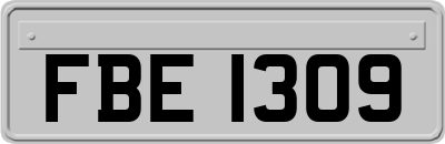 FBE1309