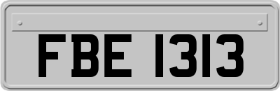 FBE1313