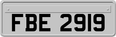FBE2919