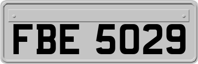 FBE5029