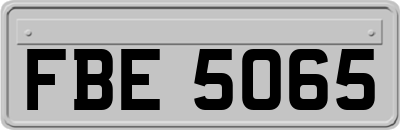 FBE5065