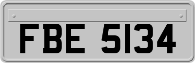 FBE5134