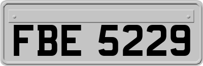 FBE5229