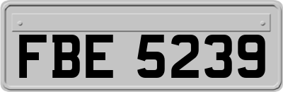 FBE5239