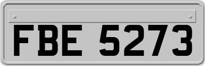 FBE5273