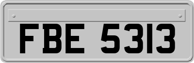 FBE5313