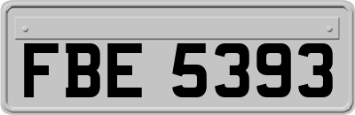 FBE5393
