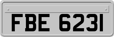 FBE6231