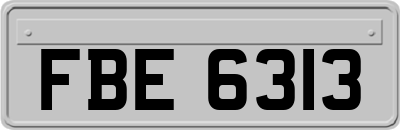 FBE6313