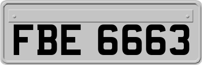 FBE6663