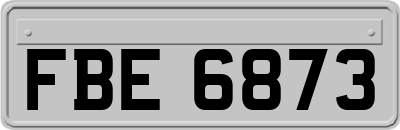 FBE6873