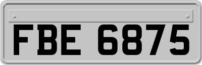 FBE6875