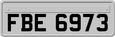 FBE6973