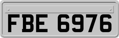 FBE6976
