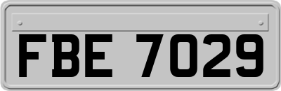 FBE7029