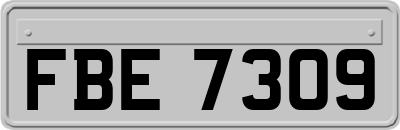 FBE7309