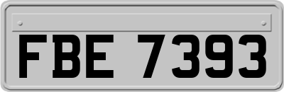 FBE7393