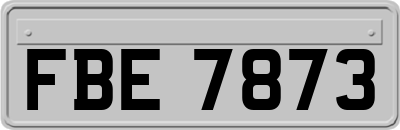 FBE7873