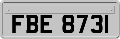 FBE8731