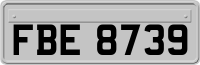 FBE8739
