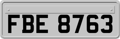 FBE8763