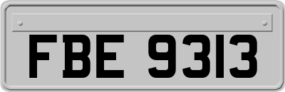 FBE9313