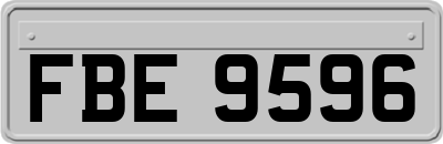 FBE9596