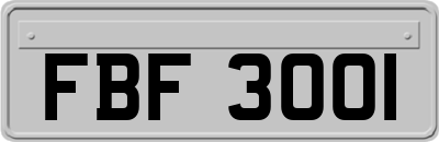 FBF3001