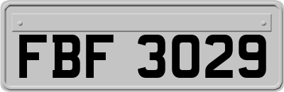 FBF3029