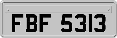 FBF5313