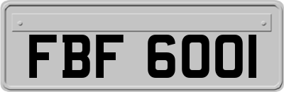 FBF6001