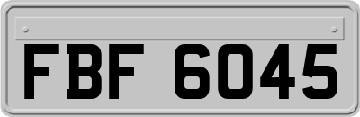 FBF6045
