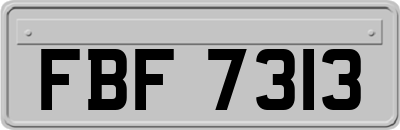 FBF7313