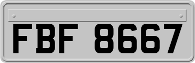 FBF8667