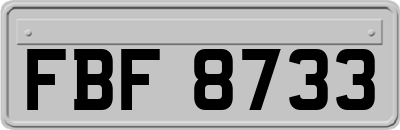 FBF8733