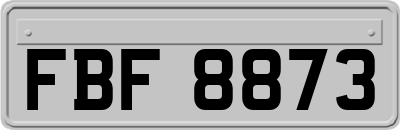 FBF8873