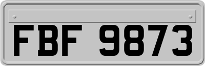 FBF9873