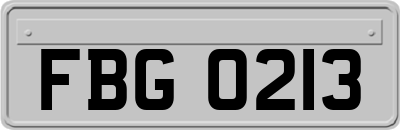 FBG0213