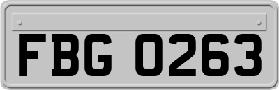 FBG0263