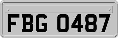 FBG0487