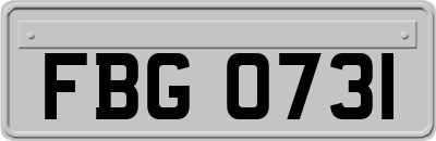FBG0731