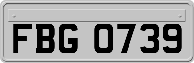 FBG0739