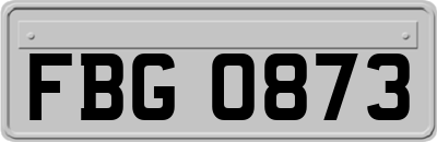 FBG0873